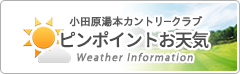 神奈川のお天気情報