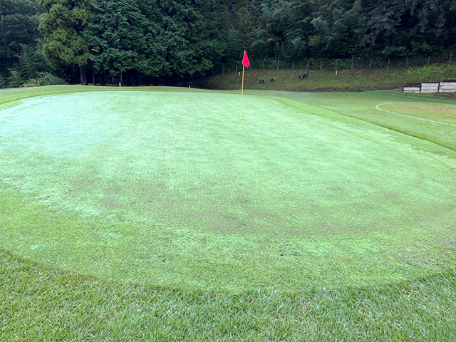 ※10月27日時点の6番ホール